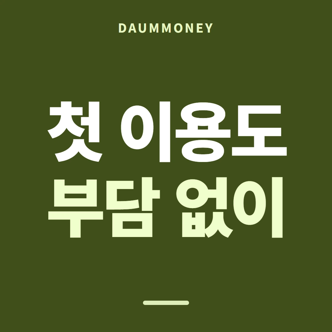 다음머니 카드깡 뜻부터 잡기 안내 카드 배너